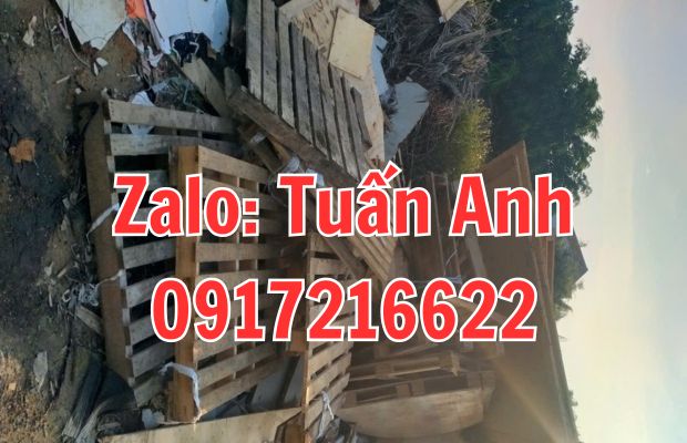 Công ty thu mua tái chế phế liệu